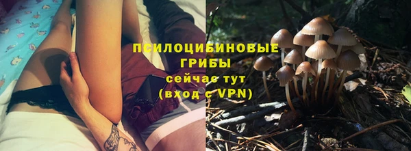 соль ск Наволоки