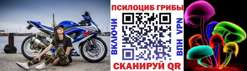 Галлюциногенные грибы прущие грибы  даркнет сайт  Сургут 