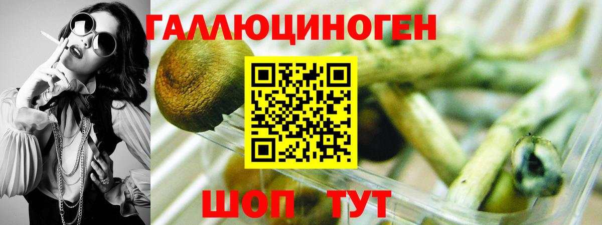 Галлюциногенные грибы Psilocybe  Сургут  Псилоцибиновые грибы Magic Shrooms 